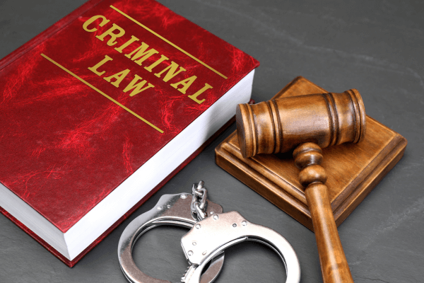 Advocate Md. Shahadat Hossain criminal law image